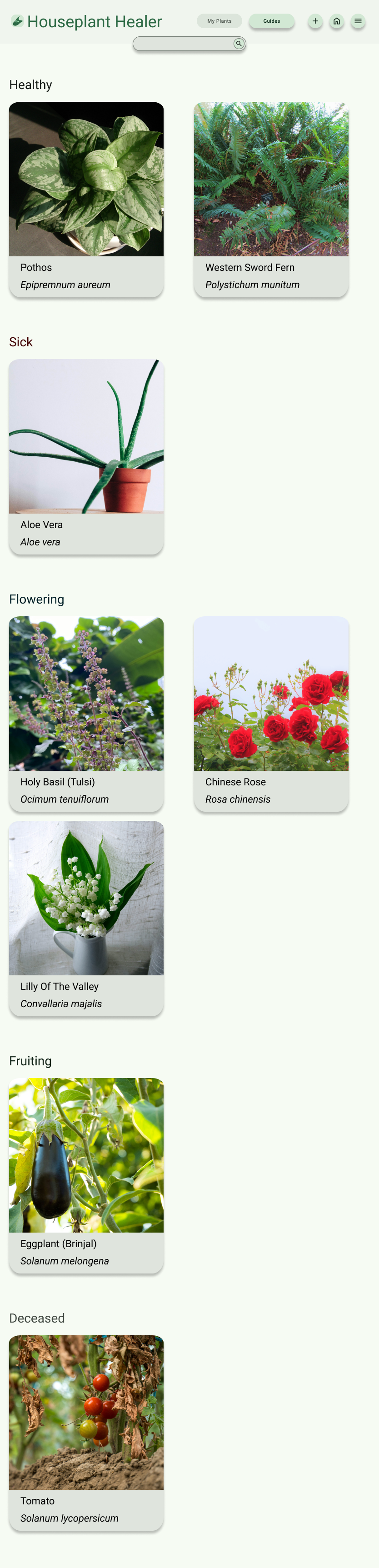 Houseplant Healer Screenshots